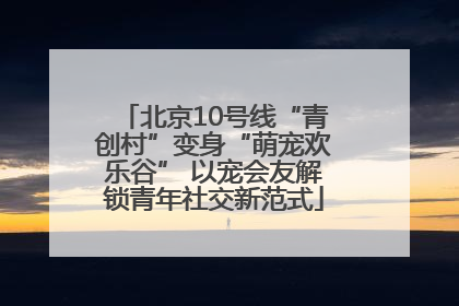 北京10号线“青创村”变身“萌宠欢乐谷” 以宠会友解锁青年社交新范式